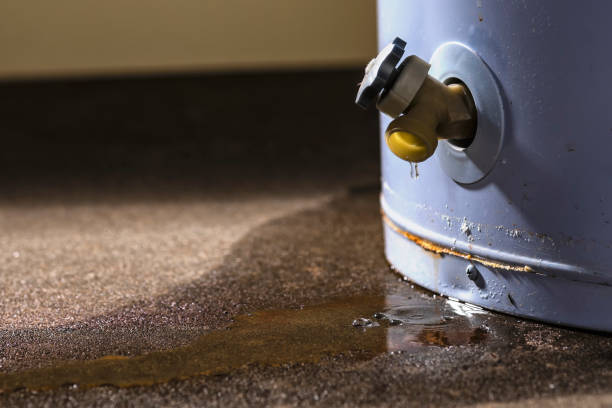 Best Mold removal after water damage  in Cambria, IL