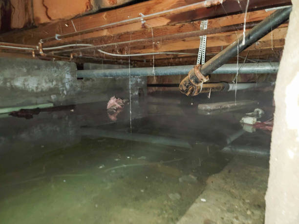 Best Fire Damage Restoration  in Cambria, IL