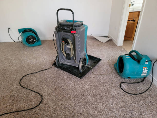 Best Flood restoration services  in Cambria, IL