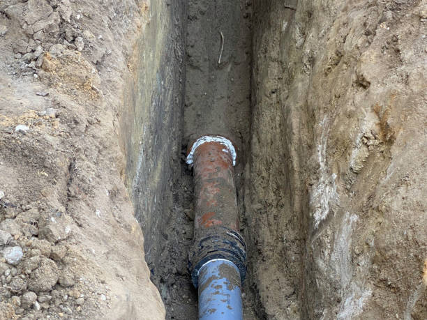 Best Local water damage restoration  in Cambria, IL
