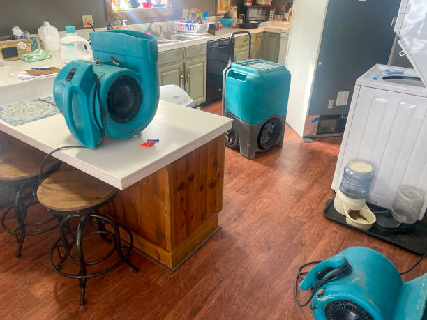 Best Water damage restoration near me  in Cambria, IL