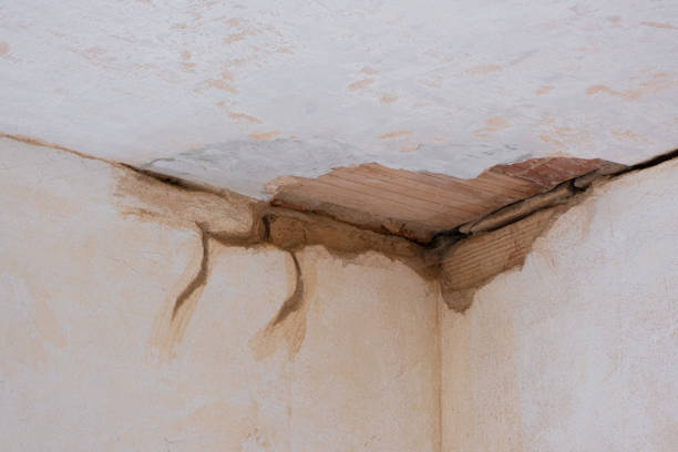 Best Ceiling water damage repair  in Cambria, IL