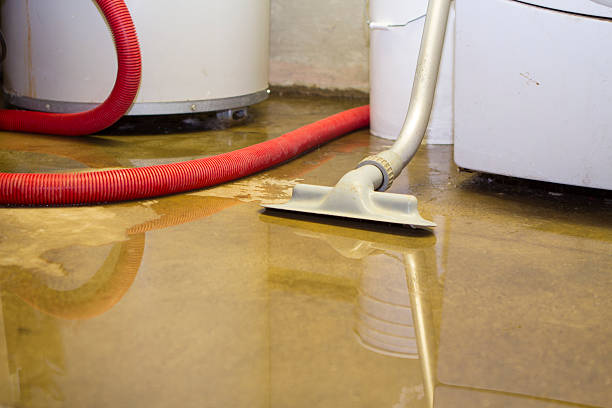 Best 24/7 water damage repair  in Cambria, IL