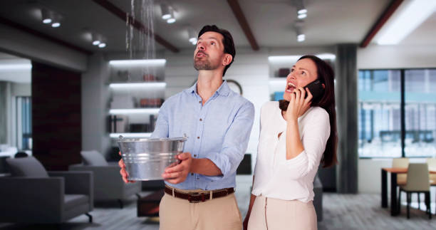 Best Water damage restoration services  in Cambria, IL